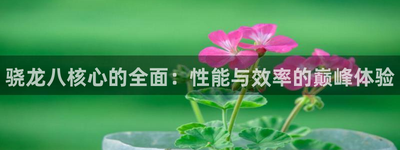 pgBB贝博艾弗森平台下载入口
