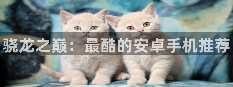 BB贝博艾弗森环保：骁龙之巅：最酷的安卓手机推荐