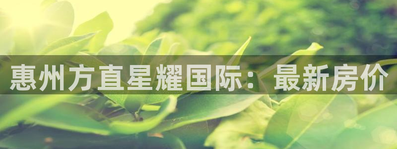 BB贝博艾弗森环保：惠州方直星耀国际：最新房价
