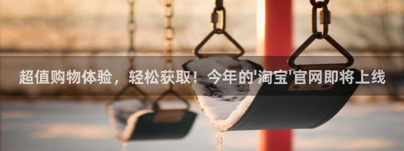 BB贝博艾弗森主管：超值购物体验，轻松获取！今年的\'淘宝\'官网即将上线