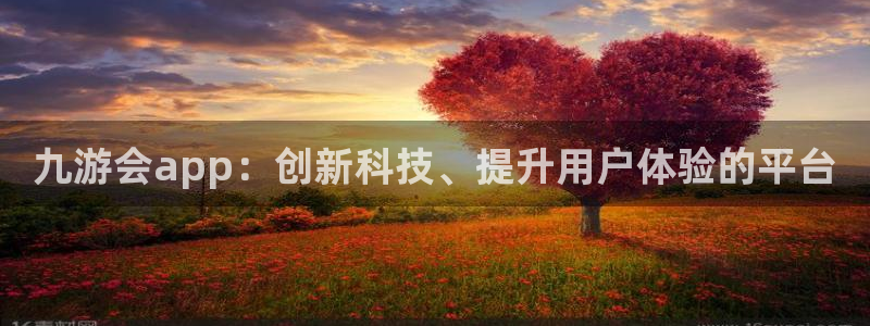 BB贝博艾弗森那个爆率高：九游会app：创新科技、提升用户体验的平台
