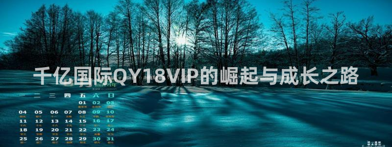 BB贝博艾弗森电玩网官网入口：千亿国际QY18VIP的崛起与成长之路