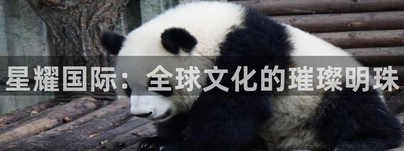 BB贝博艾弗森放水时间：星耀国际：全球文化的璀璨明珠