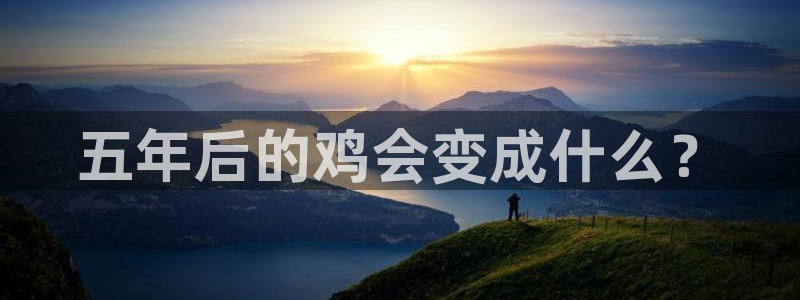 BB贝博艾弗森注册：五年后的鸡会变成什么？