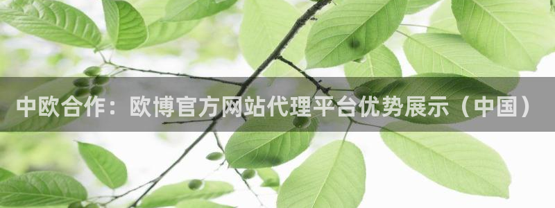 BB贝博艾弗森平台官方入口下载：中欧合作：欧博官方网站代理平台优势展示（中国）