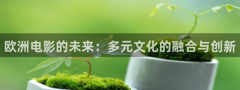 BB贝博艾弗森3代理：欧洲电影的未来：多元文化的融合与创新
