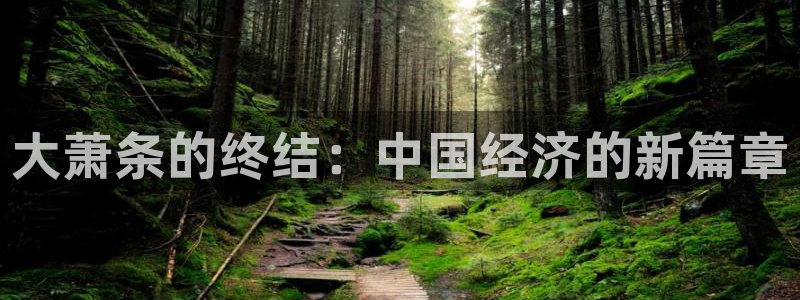 南宫BB贝博艾弗森：大萧条的终结：中国经济的新篇章