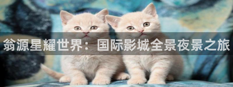 BB贝博艾弗森游戏官网版：翁源星耀世界：国际影城全景夜景之旅