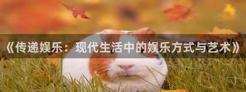 BB贝博艾弗森注册网站链接：《传递娱乐：现代生活中的娱乐方式与艺术》