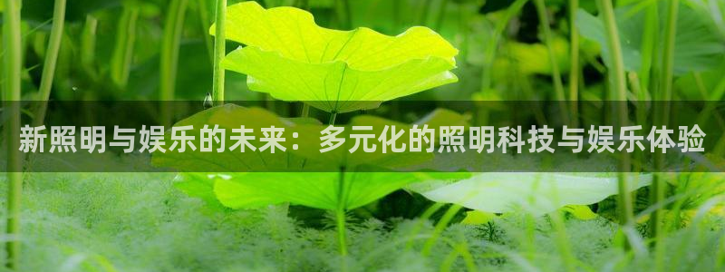 BB贝博艾弗森：新照明与娱乐的未来：多元化的照明科技与娱乐体验