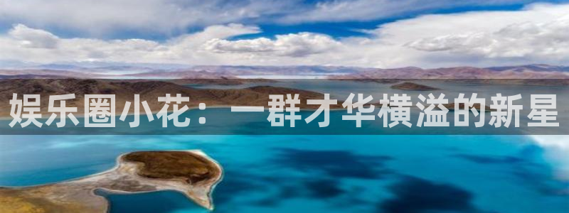 BB贝博艾弗森注册：娱乐圈小花：一群才华横溢的新星