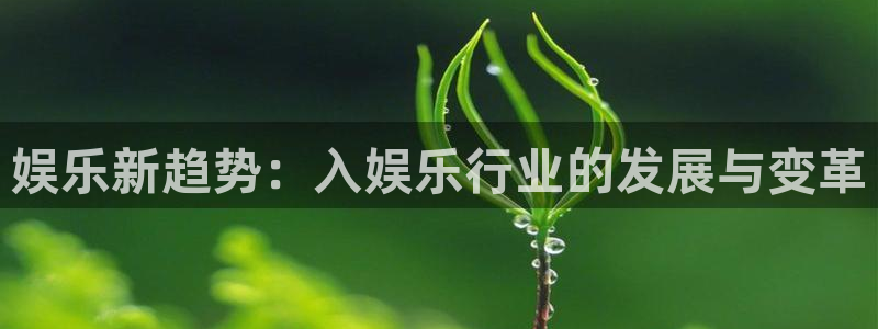 BB贝博艾弗森3登录：娱乐新趋势：入娱乐行业的发展与变革
