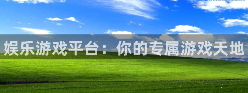 BB贝博艾弗森游app：娱乐游戏平台：你的专属游戏天地