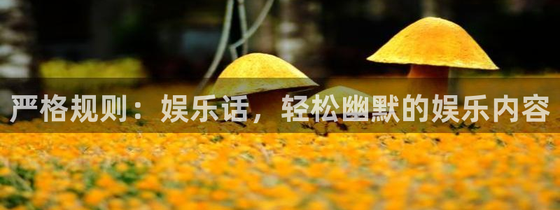 BB贝博艾弗森是大平台吗：严格规则：娱乐话，轻松幽默的娱乐内容