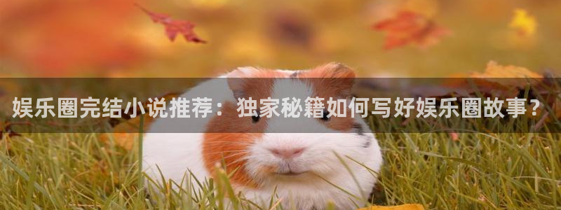 BB贝博艾弗森3官网：娱乐圈完结小说推荐：独家秘籍如何写好娱乐圈故事？