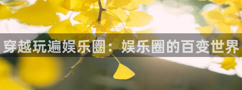 BB贝博艾弗森官网注册：穿越玩遍娱乐圈：娱乐圈的百变世界