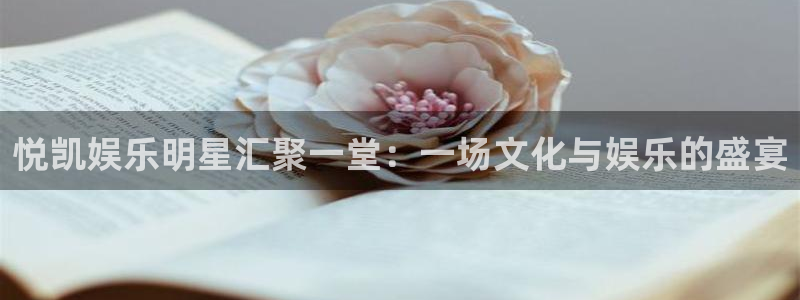 BB贝博艾弗森账号注册：悦凯娱乐明星汇聚一堂：一场文化与娱乐的盛宴