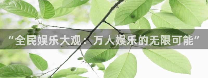 BB贝博艾弗森体育在线注册：“全民娱乐大观：万人娱乐的无限可能”