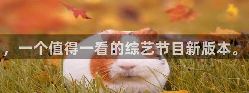 BB贝博艾弗森3官网：，一个值得一看的综艺节目新版本。