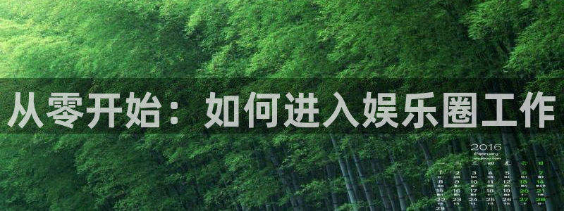 BB贝博艾弗森登录网：从零开始：如何进入娱乐圈工作